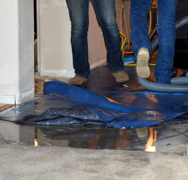 Water Removal Services in Laguna Niguel