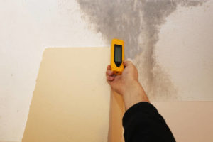 Mold Remediation Services in Tustin2