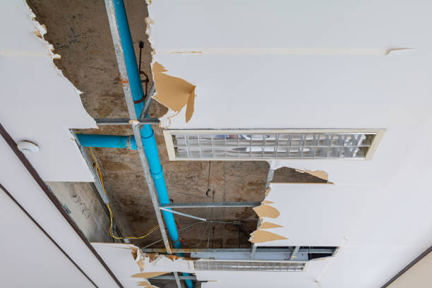 Structural Drying Services In San Clemente