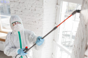 Mold Remediation Services in Mission Viejo: 
