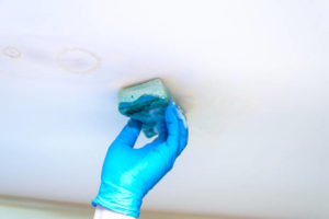 Mold Remediation Services in Santa Ana: