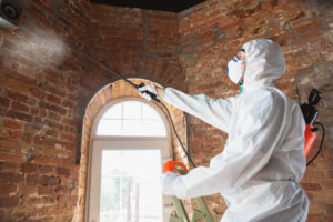 Mold Remediation Services in Ladera Ranch:
