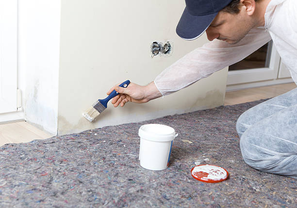 Mold Remediation Services in Tustin