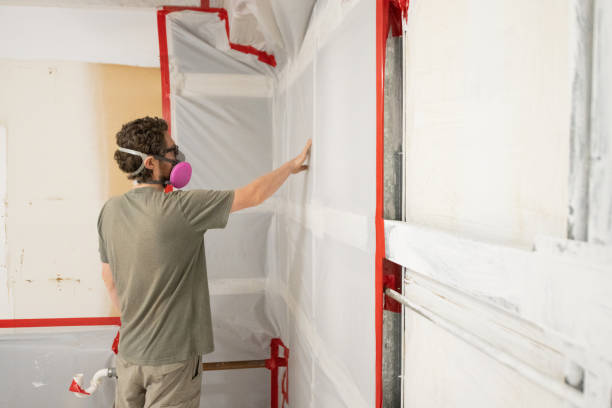 Mold Remediation Services in Newport Beach